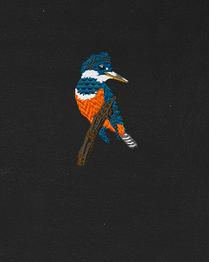 Polera Aves de Chile | Martín pescador
