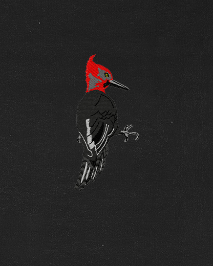 Polera Aves de Chile | Carpintero negro
