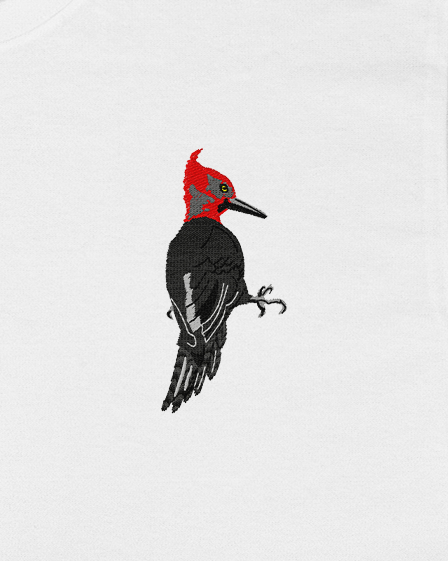Polera Aves de Chile | Carpintero negro