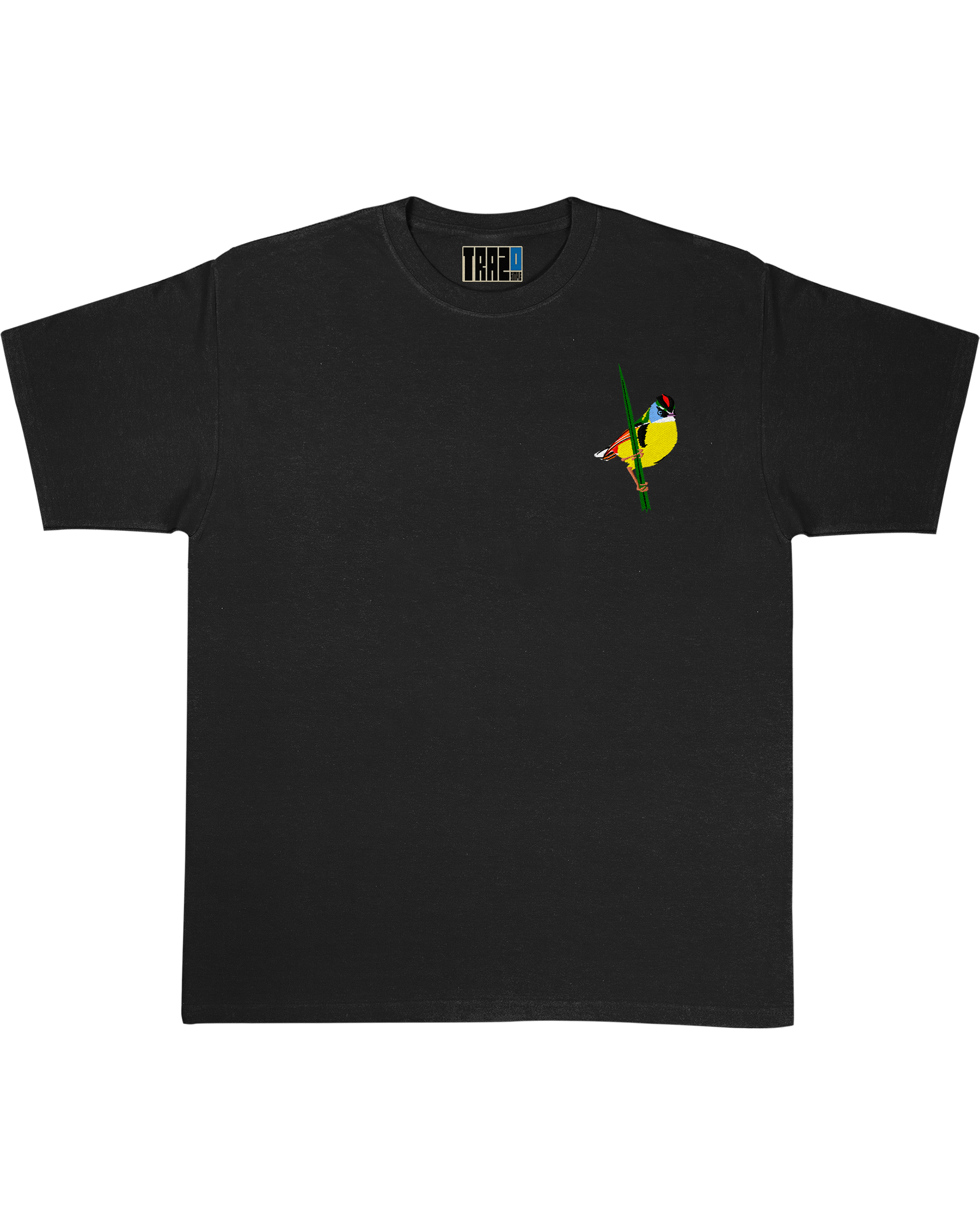 Polera Aves de Chile | Tachurí sietecolores