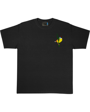 Polera Aves de Chile | Tachurí sietecolores