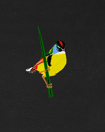 Polera Aves de Chile | Tachurí sietecolores