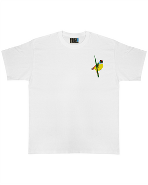 Polera Aves de Chile | Tachurí sietecolores