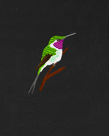 Polera Aves de Chile | Picaflor de Arica