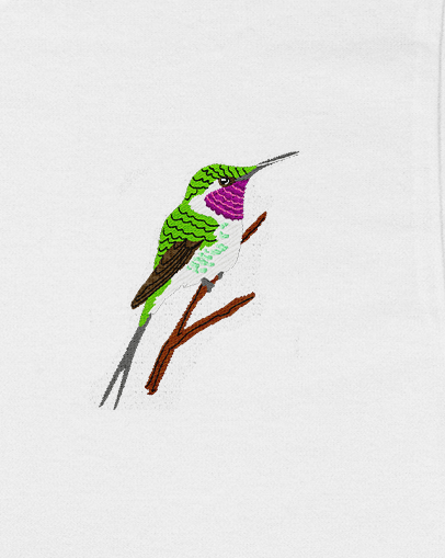 Polera Aves de Chile | Picaflor de Arica