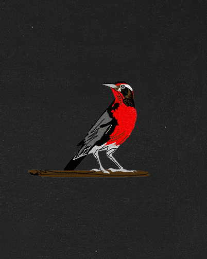 Polera Aves de Chile | Loica