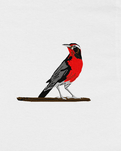 Polera Aves de Chile | Loica