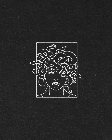Polera bordada | Medusa